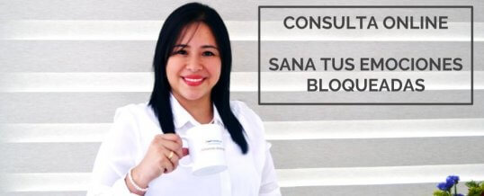 Consulta Online